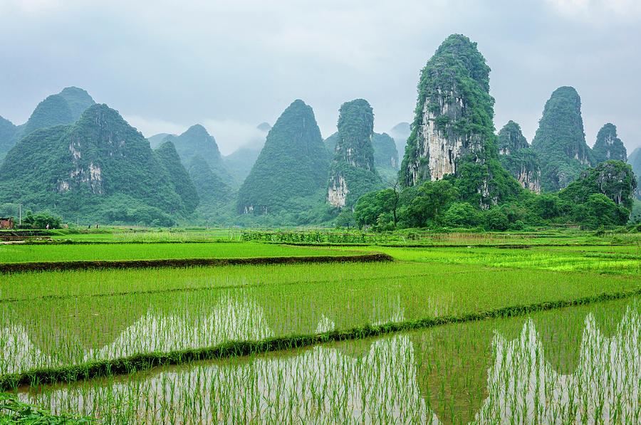 The Beautiful Karst Rural Scenery In Spring Photograph by Carl Ning