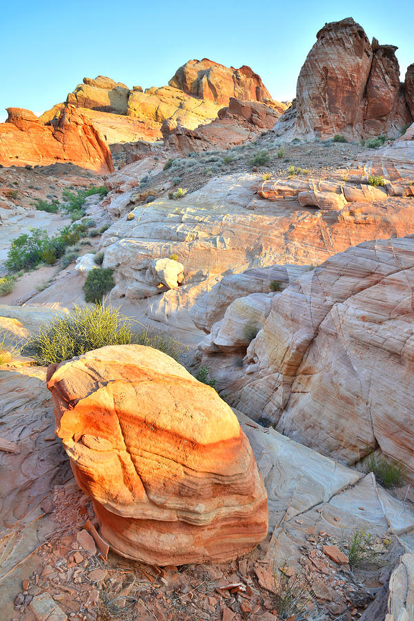 Valley of Fire #379 Photograph by Ray Mathis
