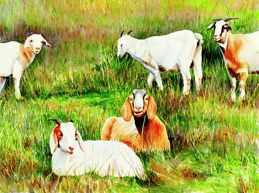 #294 Roseville Goats #294 Painting by William Lum