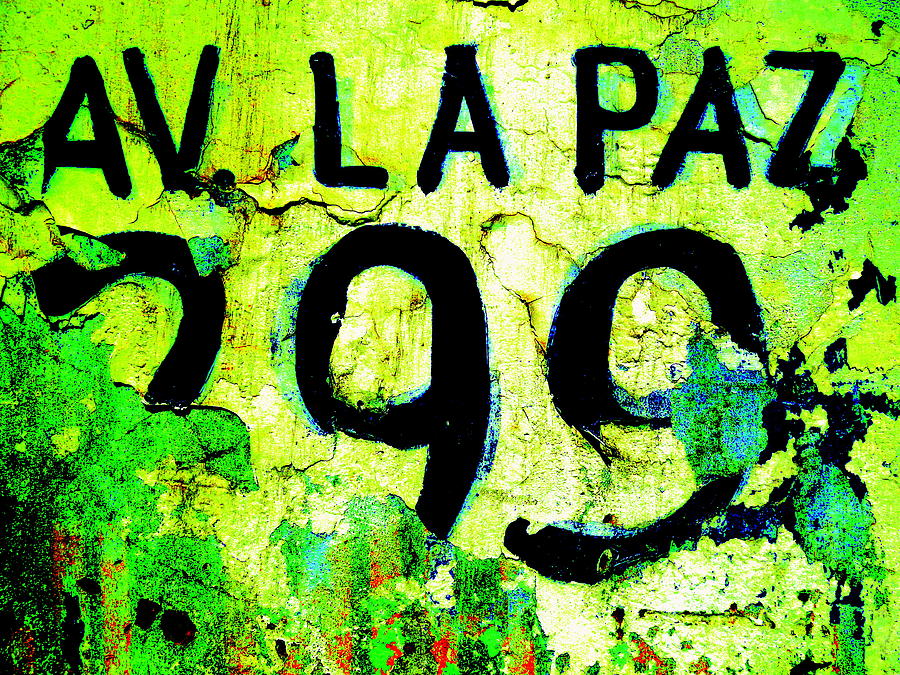 299 Avenida de la Paz Santiago Photograph by Funkpix Photo Hunter