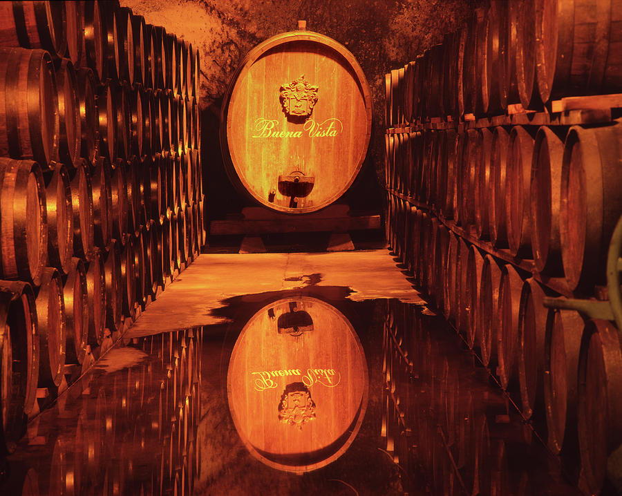 2b6344 Haraszthy Aging Cellars Reflect Photograph by Ed Cooper Photography