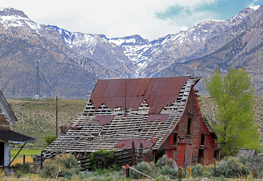 2D07506 Old Barn Photograph by Ed Cooper Photography