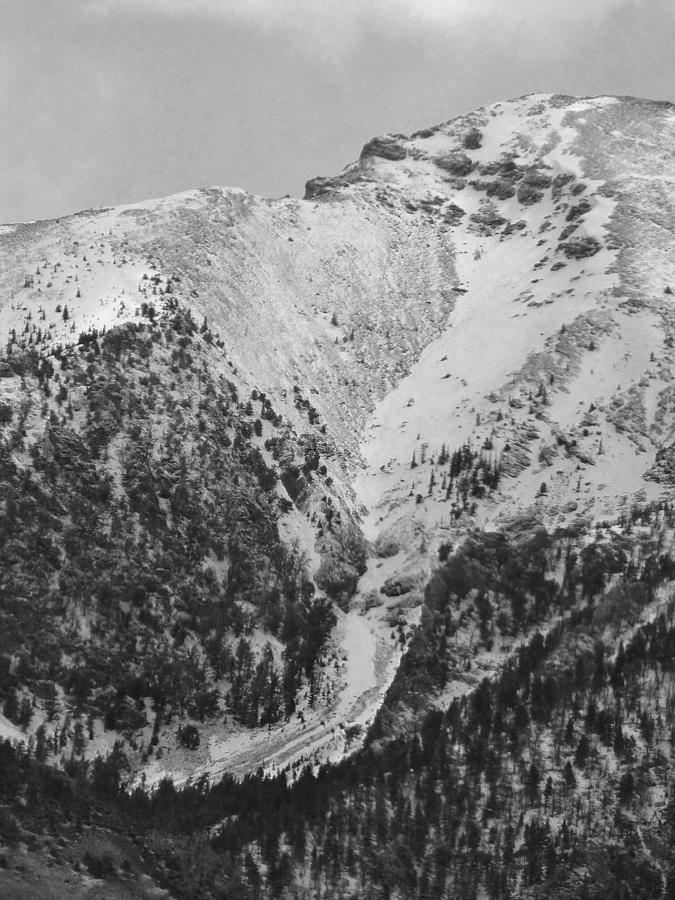 2D07523-BW-DC Avalanche Slope Photograph by Ed Cooper Photography