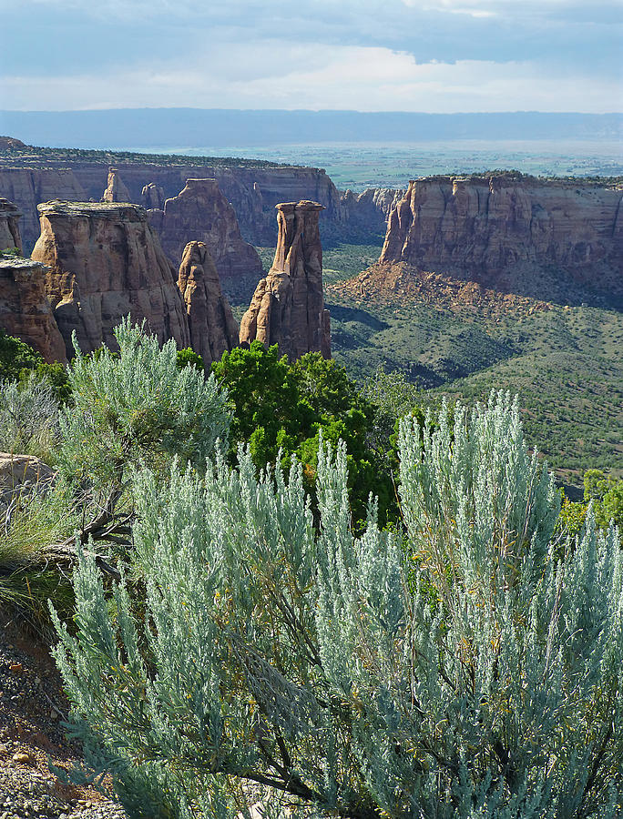 2D10347-DC Sagebrush View Photograph by Ed  Cooper Photography