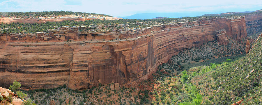 2D10376 Ute Canyon Pano Photograph by Ed Cooper Photography