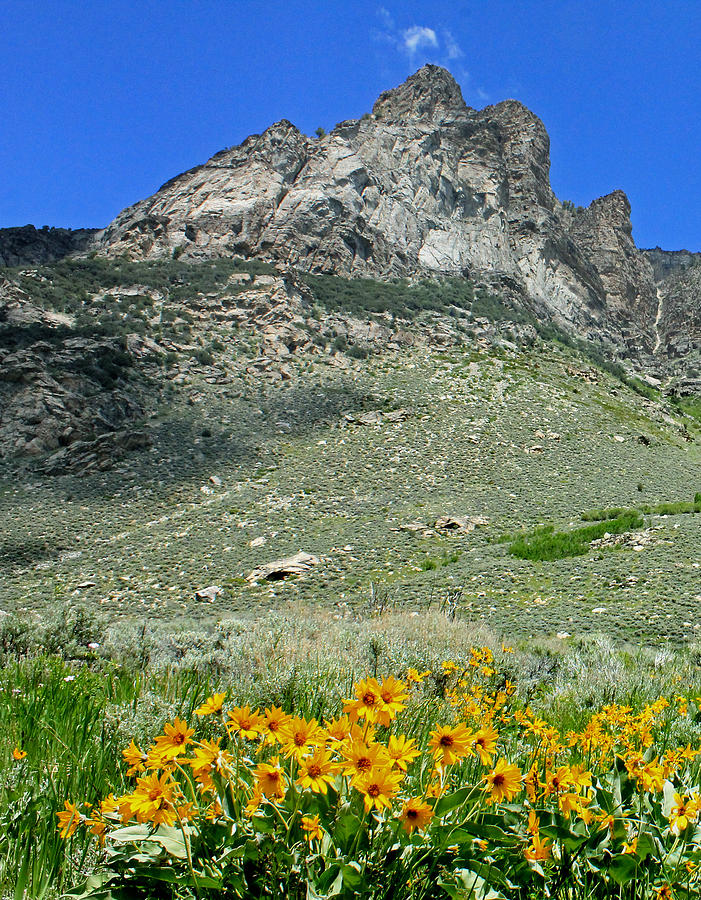 2D11126 South Wall in Ruby Mountains Photograph by Ed Cooper Photography