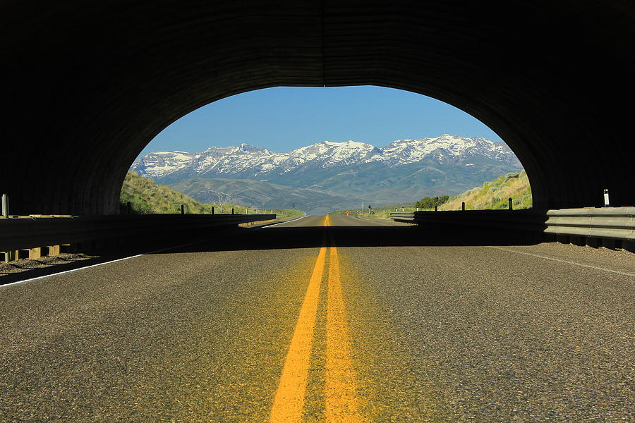 2D11130 Animal Overpass in Nevada 2 Photograph by Ed Cooper Photography