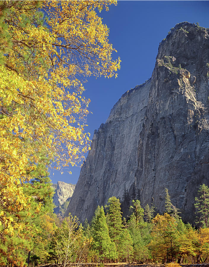 2M6702 Cathedral Rocks in Autumn Photograph by Ed Cooper Photography
