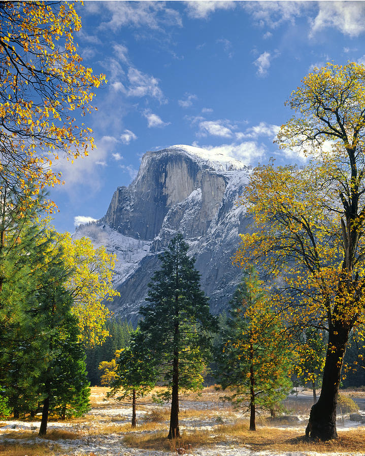 2M6713 Half Dome in Autumn Snow Photograph by Ed  Cooper Photography