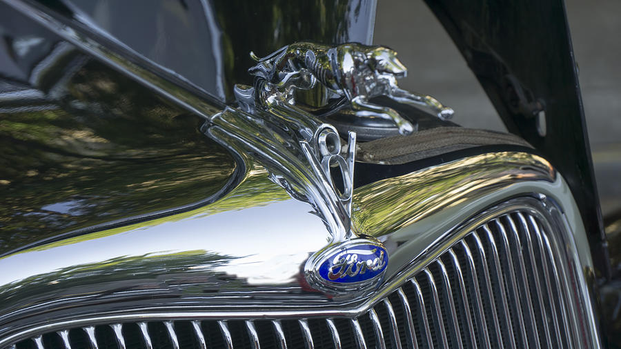 1935 Ford Hood Ornament  Photograph by Cathy Anderson