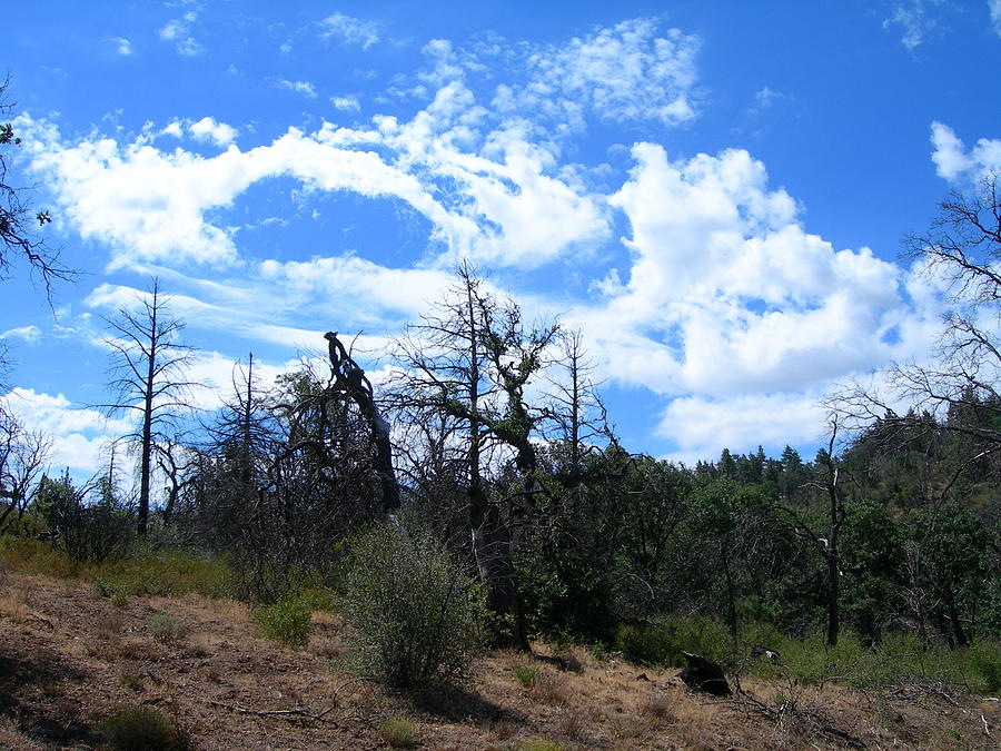 Landscape Photograph - Dreamland by Donna Zoll Landscape Photograph - Dreamland by Donna Zoll