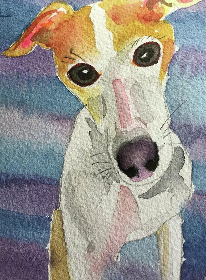 Italian Greyhound  Painting by Bonny Butler