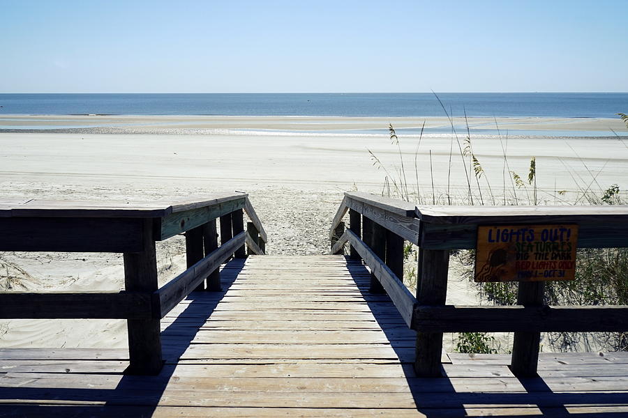 Sapelo Island View Photograph by Laurie Perry