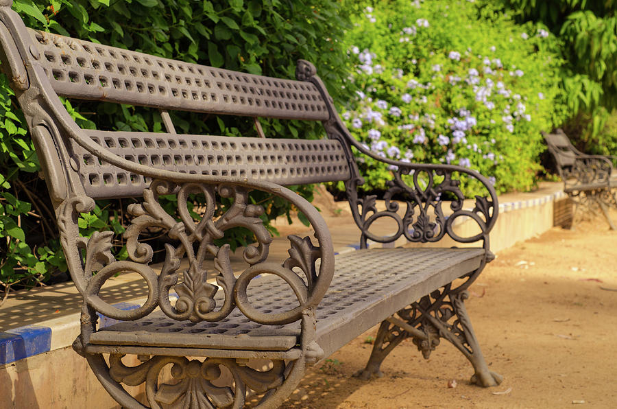 A bench in the park #3 Photograph by AM FineArtPrints