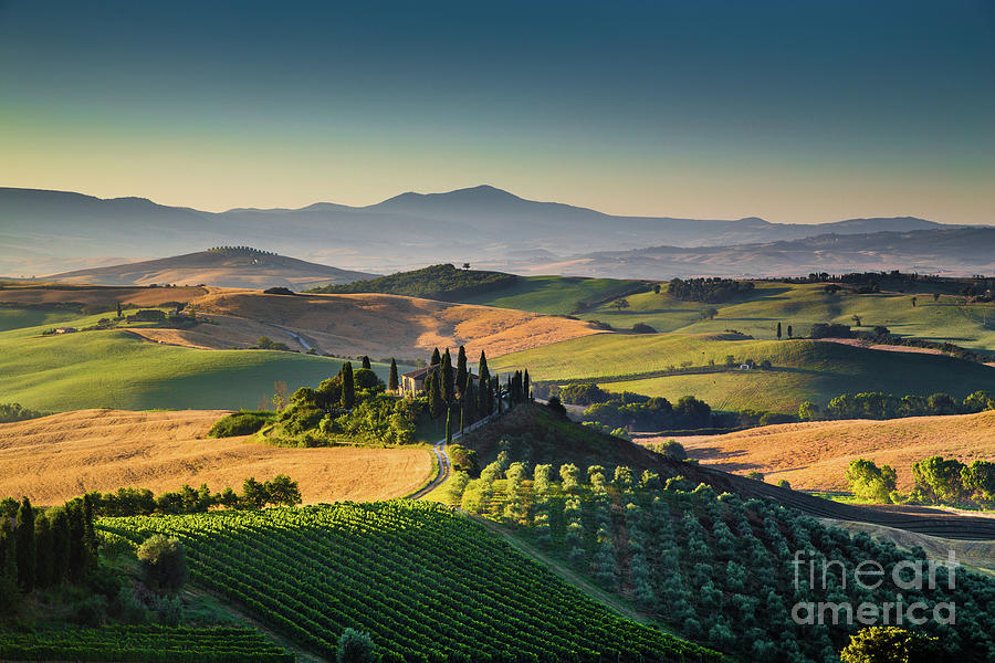 A Morning in Tuscany #4 Photograph by JR Photography