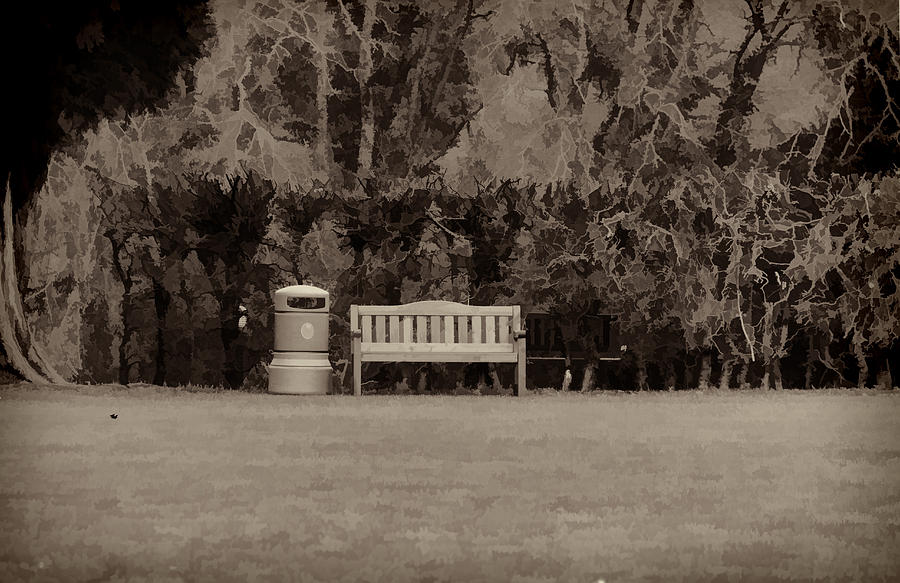 A trash can and wooden benches in a small grassy area #3 Photograph by Ashish Agarwal