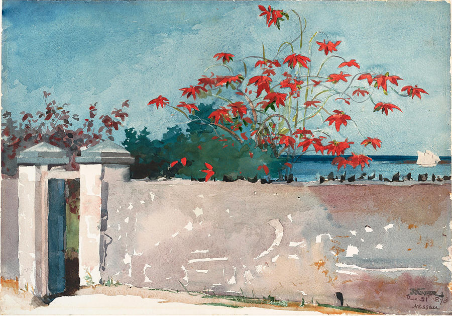 A Wall. Nassau Drawing by Winslow Homer