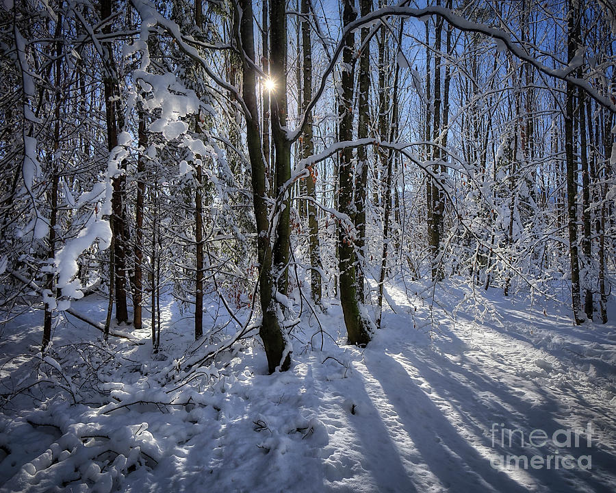 A Winters Tale #2 Photograph by Edmund Nagele FRPS