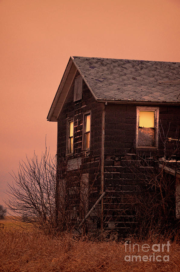 Abandoned House #3 Photograph by Jill Battaglia