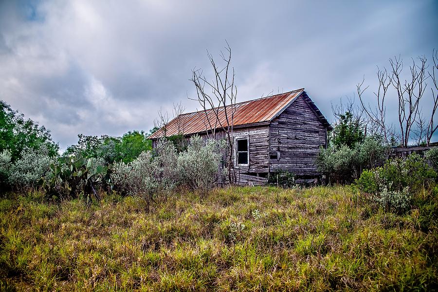 Abandoned Log Cabin House Deep Woods In Texas #3 Photograph by Alex Grichenko