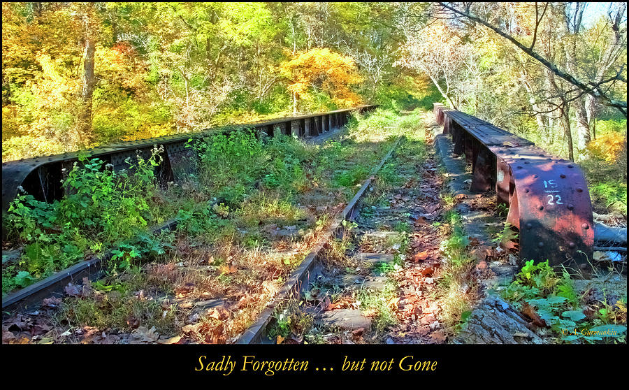 Abandoned Railroad Tracks Digital Art