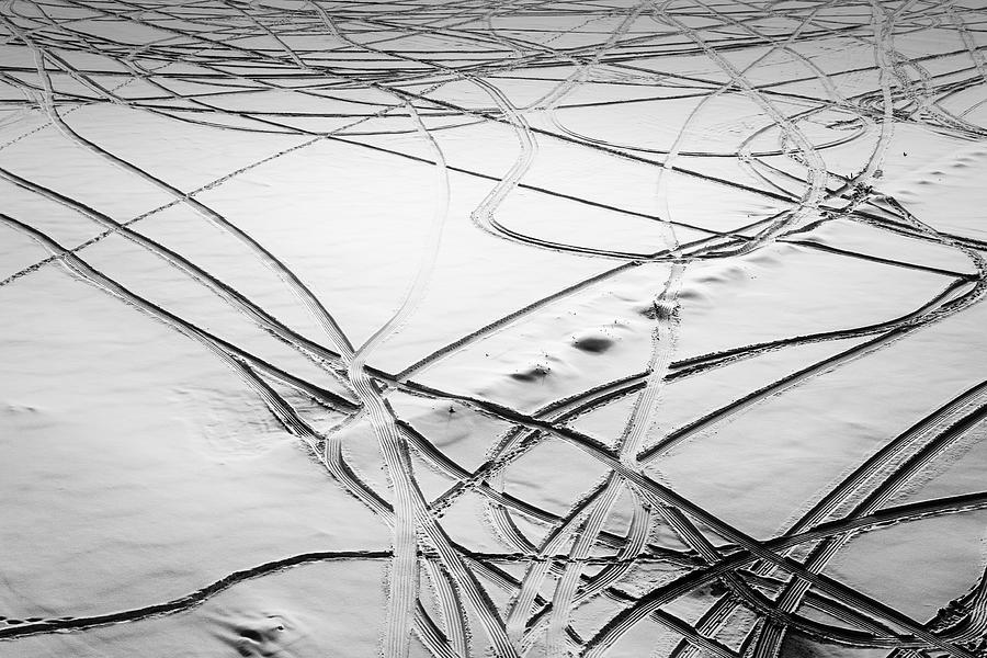 Movement In Snow Photograph