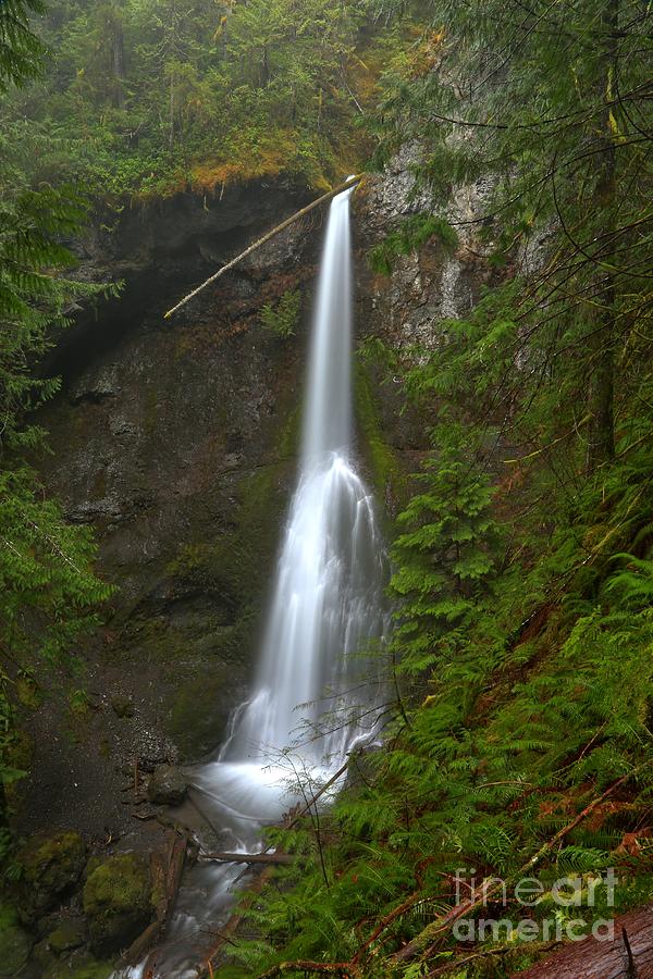 Marymere Falls Olympic National Park Photograph by Adam Jewell