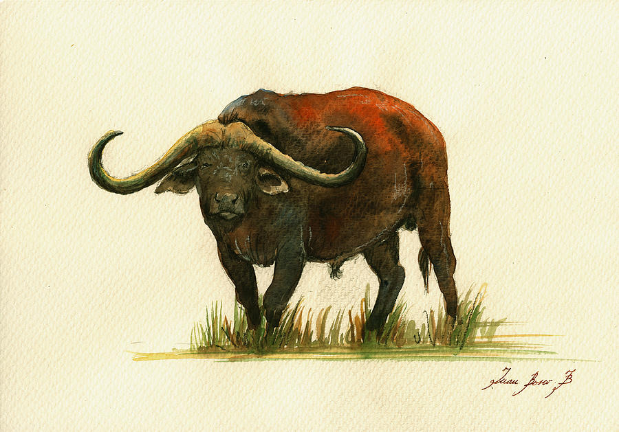 African Buffalo Painting - African buffalo watercolor painting #3 by Juan  Bosco