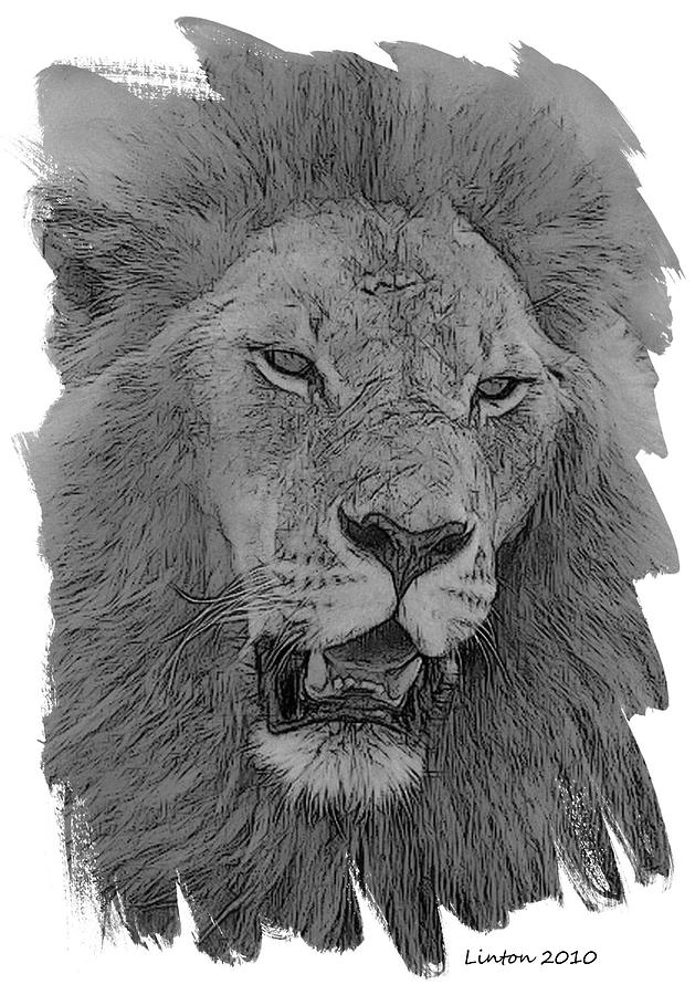 Nature Digital Art - African Lion #3 by Larry Linton