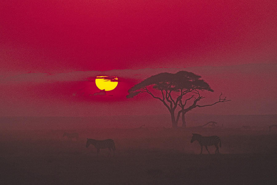 African Sunrise #3 Photograph by Michele Burgess