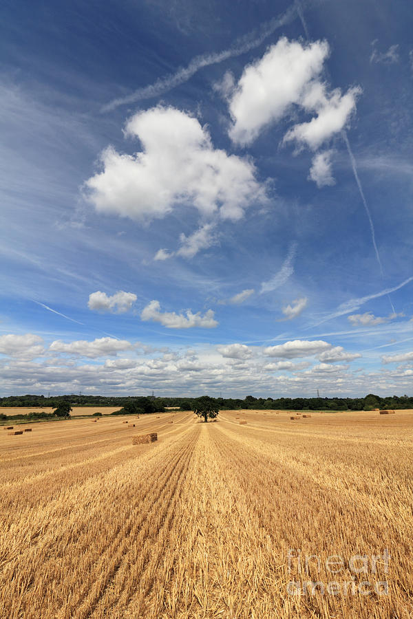 After the Harvest England #4 Photograph by Julia Gavin