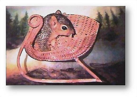 Squirrels Mixed Media - All Aboard by Brenda Garacci Squirrels Mixed Media - All Aboard by Brenda Garacci