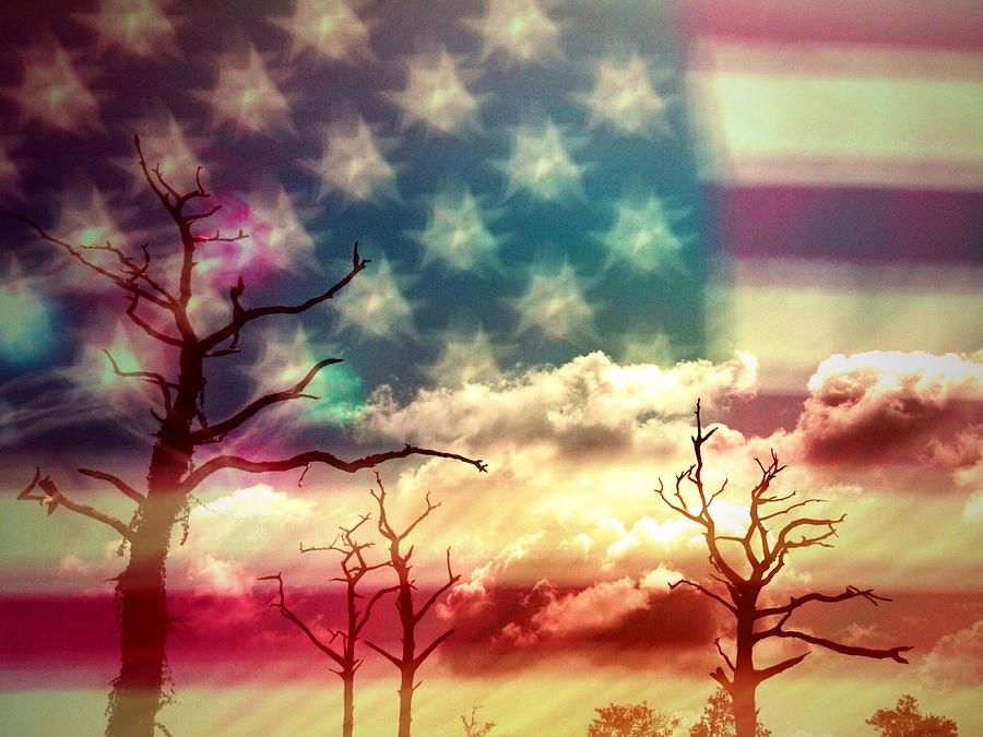 American Flag #3 Photograph by Skip Nall