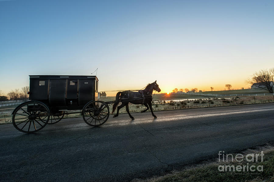 Amish Buggy at Dawn #3 Photograph by David Arment