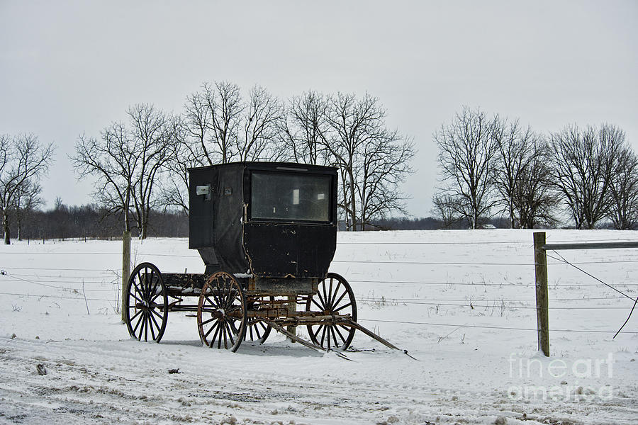 Amish Buggy near Shipshe #4 Photograph by David Arment