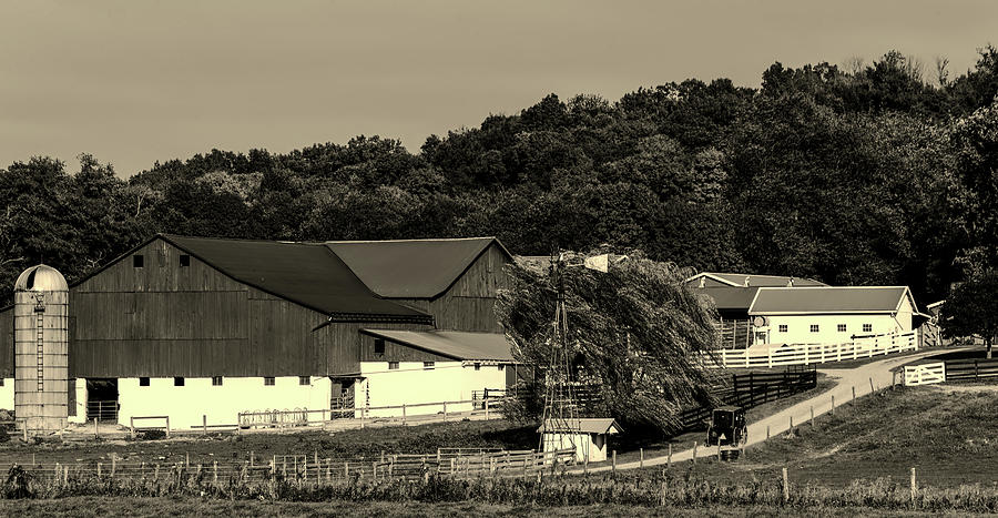 Tree Photograph - Amish Country #3 by Mountain Dreams
