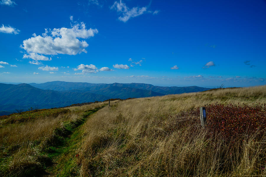 Appalachian Trail - Big Bald Mountain Photograph by Ryan Phillips ...