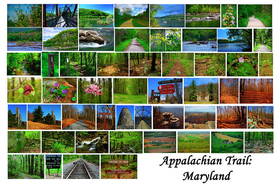 Appalachian Trail Maryland #3 Photograph by Raymond Salani III