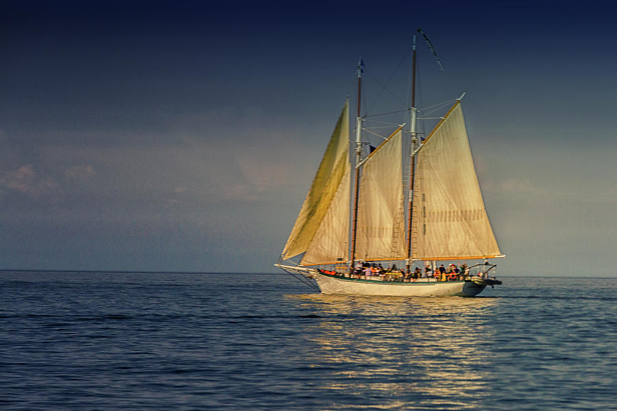 Appledore IV #3 Photograph by Jack R Perry