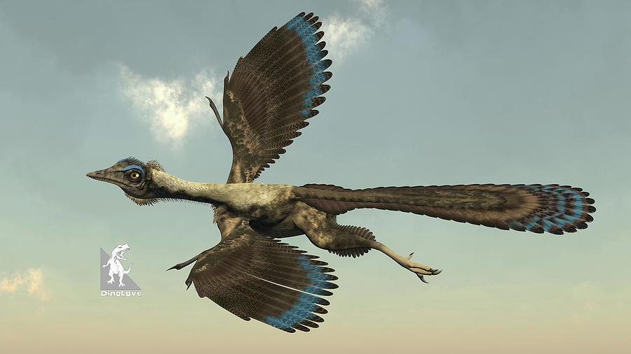 flugsaurier archaeopteryx