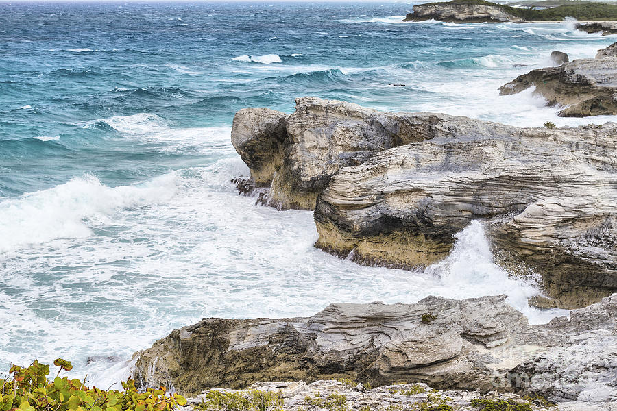 Cliff Photograph - Atlantic Coastline In Bahamas by Pier Giorgio Mariani Cliff Photograph - Atlantic Coastline In Bahamas by Pier Giorgio Mariani