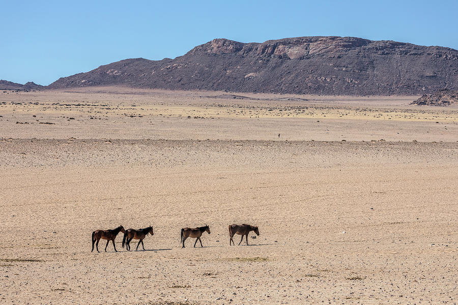 Aus - Namibia #3 Photograph by Joana Kruse