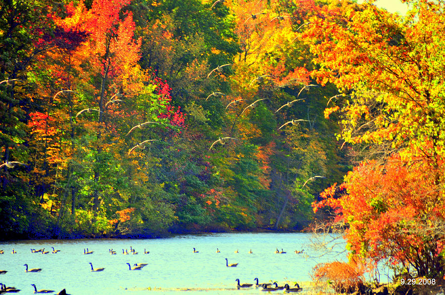 Autumn Colors #3 Photograph by Aron Chervin