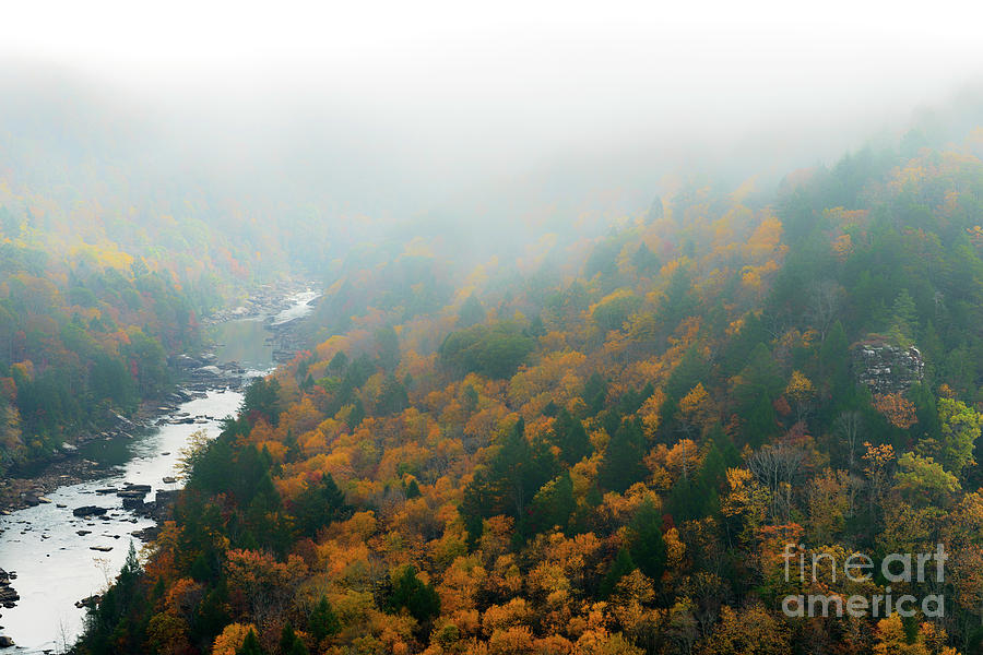 Autumn Fog Gauley River #3 Photograph by Thomas R Fletcher