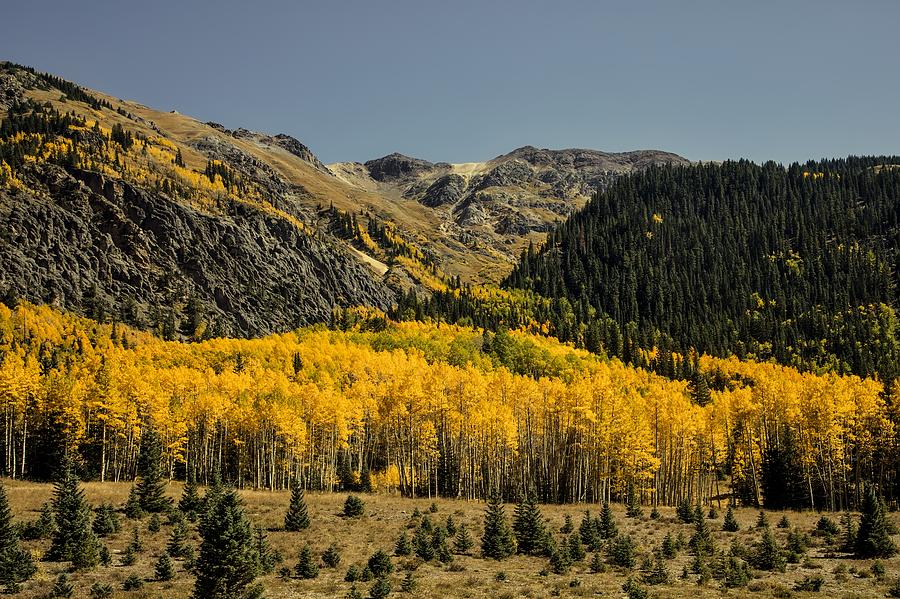 Autumn In Colorado #3 Photograph by Mountain Dreams