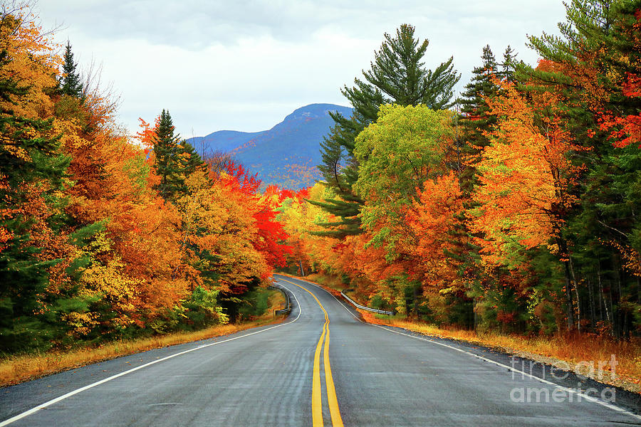 Autumn in the White Mountains of New Hampshire Photograph by Denis