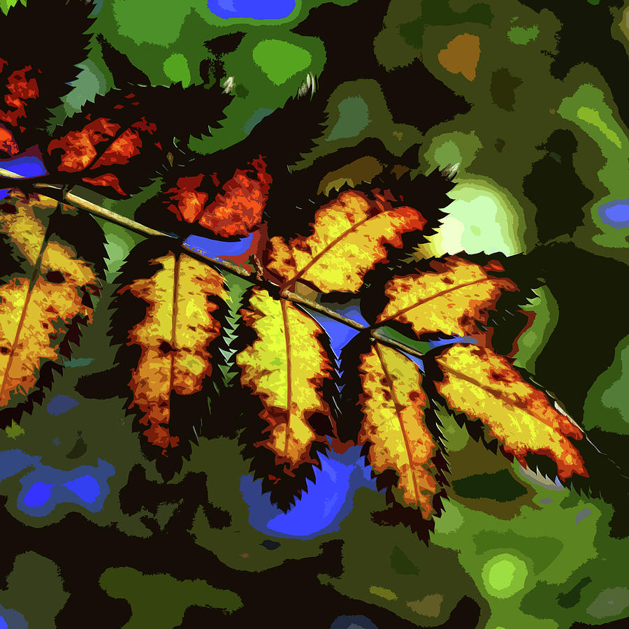 Autumn Leaves by James Hill Autumn Leaves by James Hill
