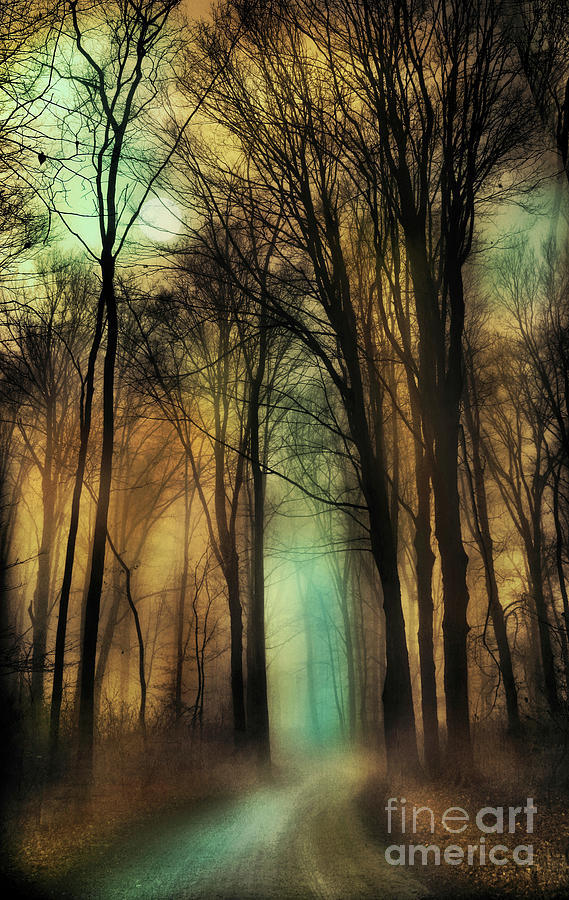 Tree Digital Art - Autumn moon, winter on the way #3 by Gina Signore