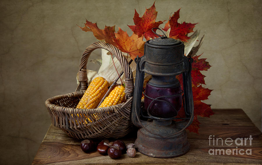 Thanksgiving Photograph - Autumn #3 by Nailia Schwarz