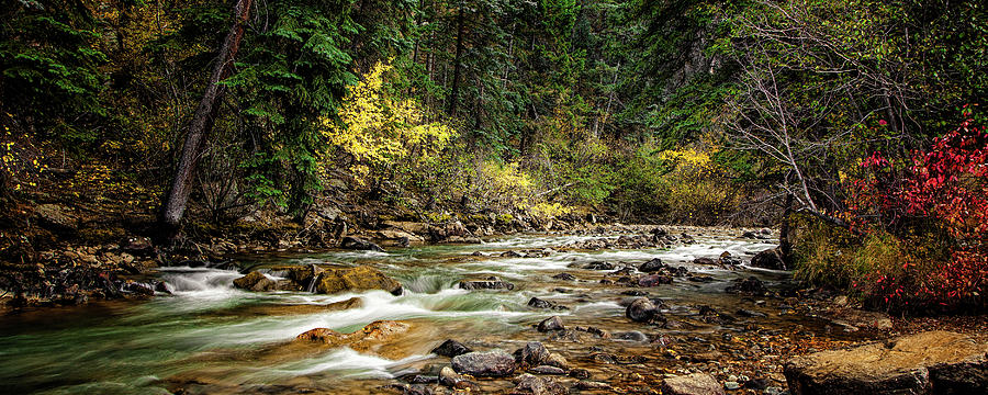 Autumn Stream #3 Photograph by Andrew Soundarajan